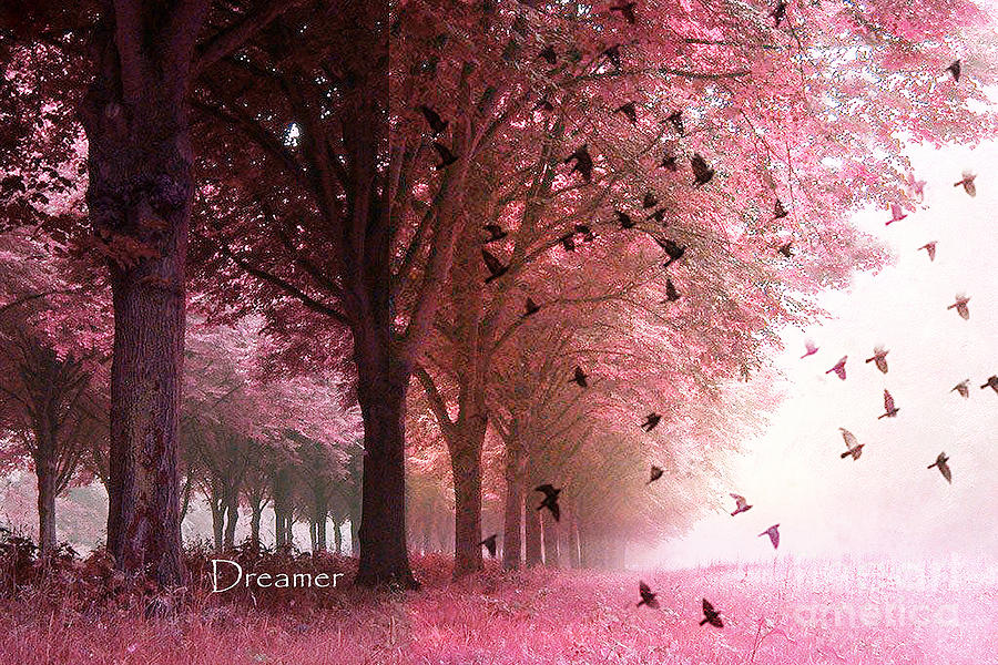 Inspirational Surreal Fantasy Pink Nature Forest Woods Birds Dreamer Print Home Decor Photograph by Kathy Fornal