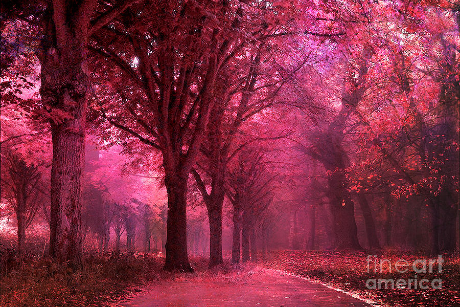 pink everywhere in fall season - Forests & Nature Background
