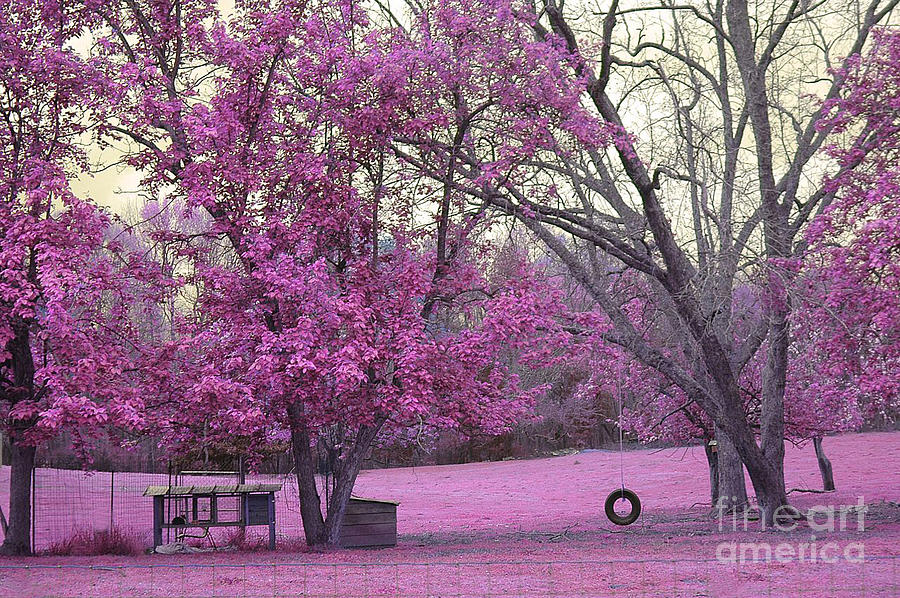 Tree Photograph - Surreal Fantasy South Carolina Pink Fall Landscape With Swing by Kathy Fornal