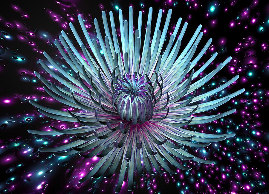 Surreal Flower  Digital Art by Louis Ferreira