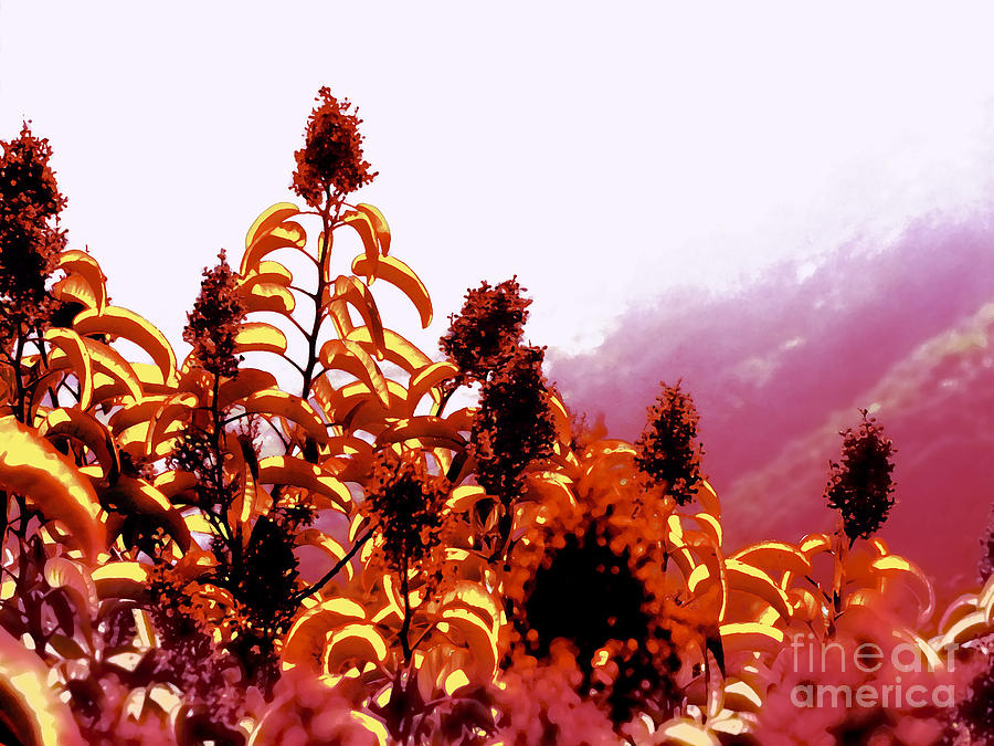 Surreal Flowers Digital Art