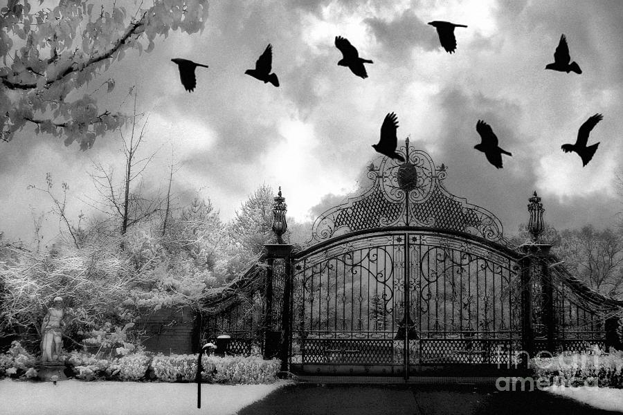 Raven Photograph - Surreal Gothic Black and White Gate With Flying Ravens  by Kathy Fornal