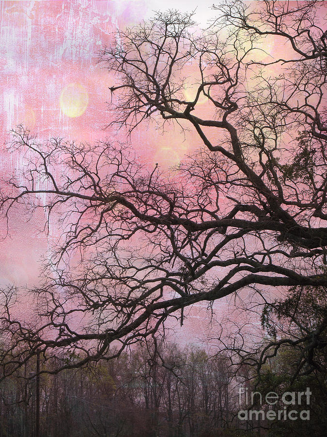 Surreal Nature Photograph - Surreal Gothic Fantasy Abstract Pink Nature - Fantasy Surreal Trees Nature Photograph by Kathy Fornal