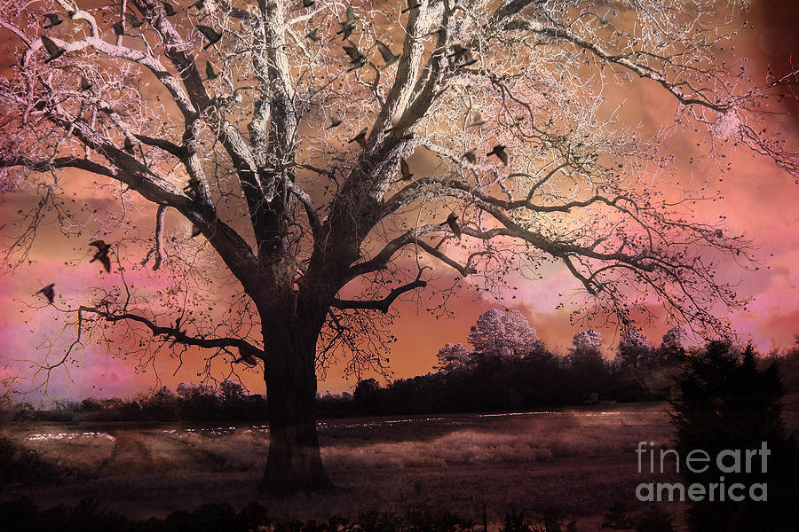 Surreal Gothic Fantasy Trees Pink Sky Ravens Photograph by Kathy Fornal