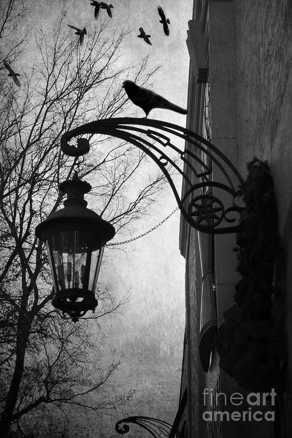 Surreal Gothic Haunting Street Lamps Lanterns With Ravens and Crows Photograph by Kathy Fornal