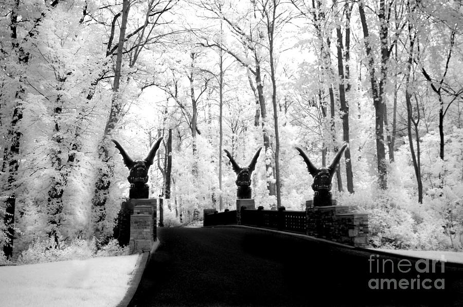 Surreal Gothic Infrared Black White Gargoyles - Surreal Fantasy Gargoyle Photography Photograph by Kathy Fornal