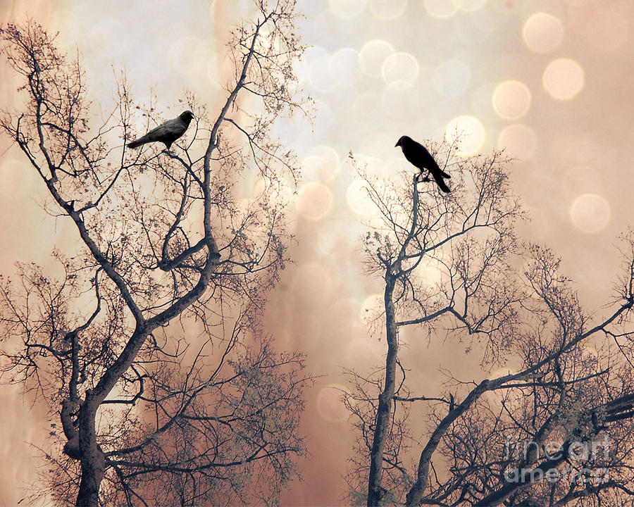 Surreal Gothic Nature Ravens Trees - Surreal Fantasy Dreamy Trees Nature Raven Crows Trees  Photograph by Kathy Fornal