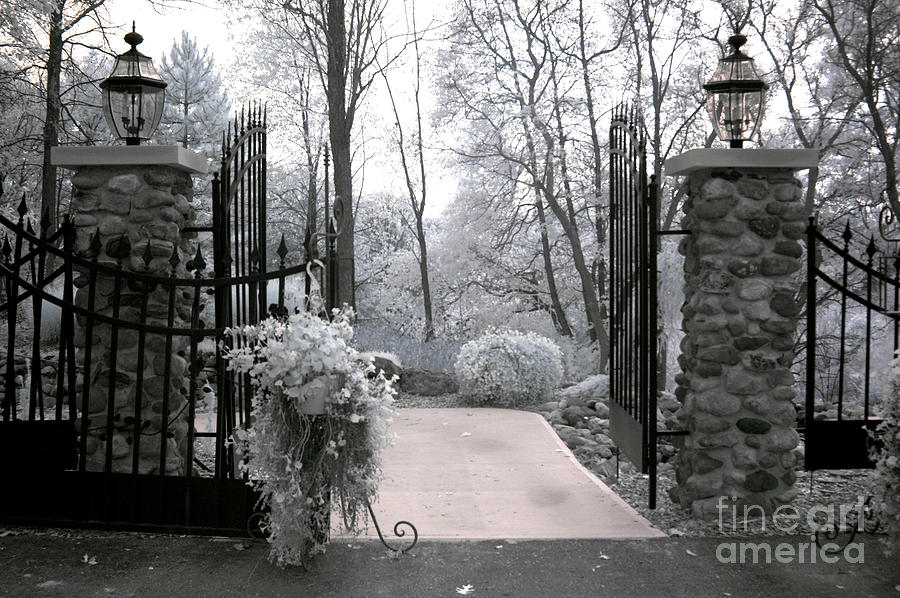 Nature Photograph - Surreal Haunting Infrared Nature Gate Scene by Kathy Fornal