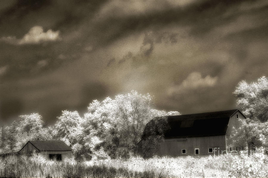 Surreal Infrared Sepia Rural Barn Landscape Photograph by Kathy Fornal