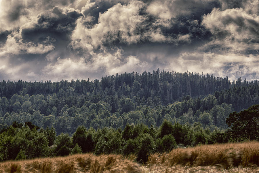 Surreal Landscape And Nature Photograph by Christian Lagereek