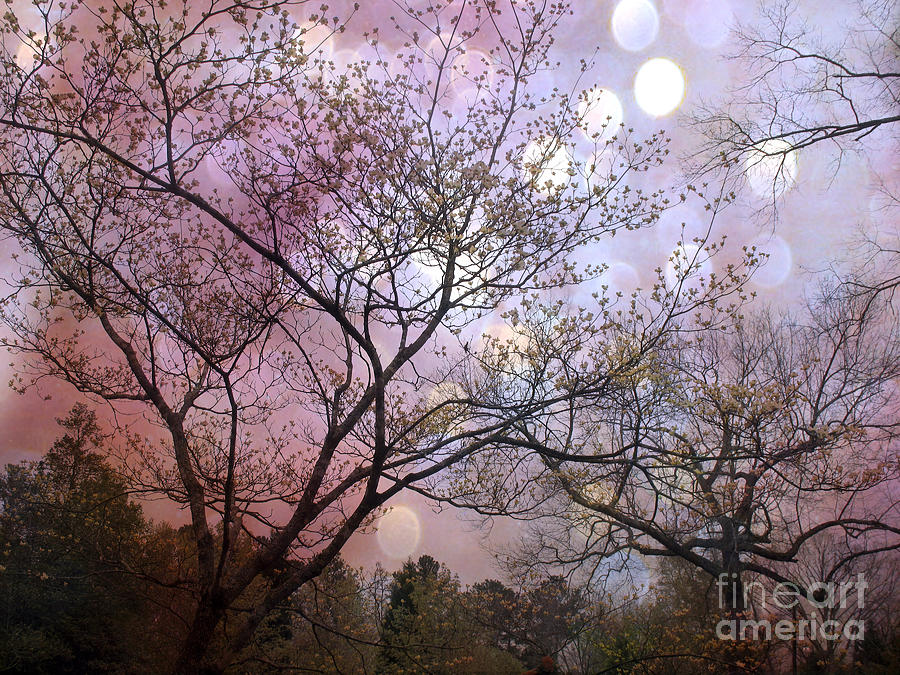 Surreal Purple Fantasy Trees Ethereal Nature Photograph by Kathy Fornal