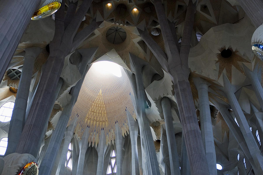 Surreal Sagrada Familia  Photograph by Lorraine Devon Wilke
