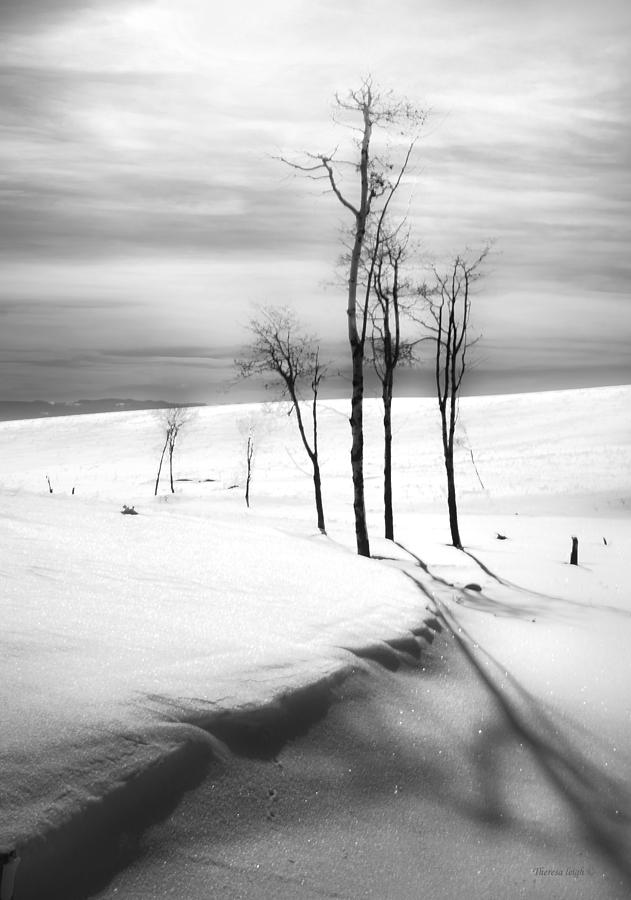 Black And White Photograph - Surreal Snowscape 2 by Theresa Tahara