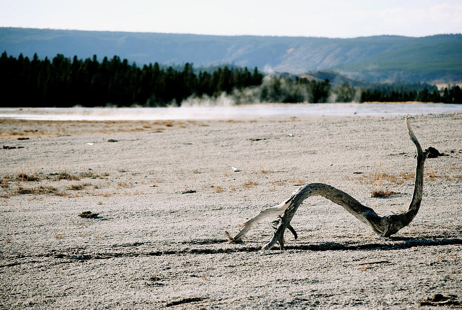 Yellowstone National Park Photograph - Surreal by Stephanie Thomson