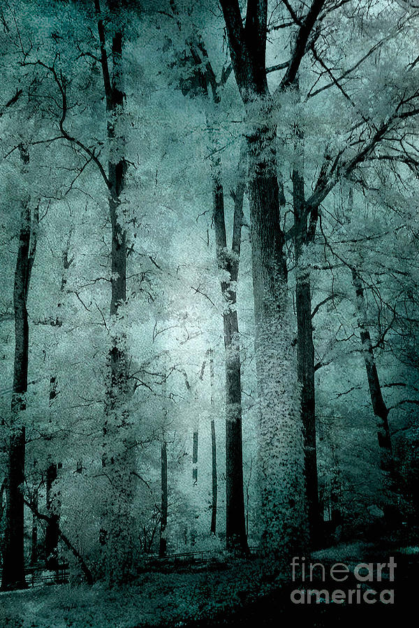 Surreal Trees Fantasy Dark Eerie Haunting Teal Green Woodlands Forest - Lost In The Woods Photograph by Kathy Fornal
