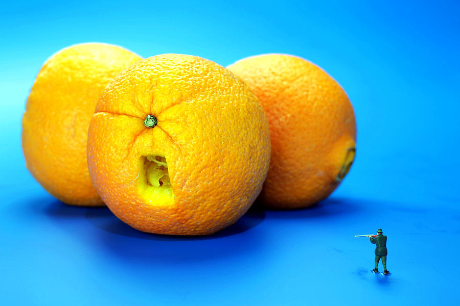 Surrealism Photograph - Surrender Mr. Oranges little people on food by Paul Ge