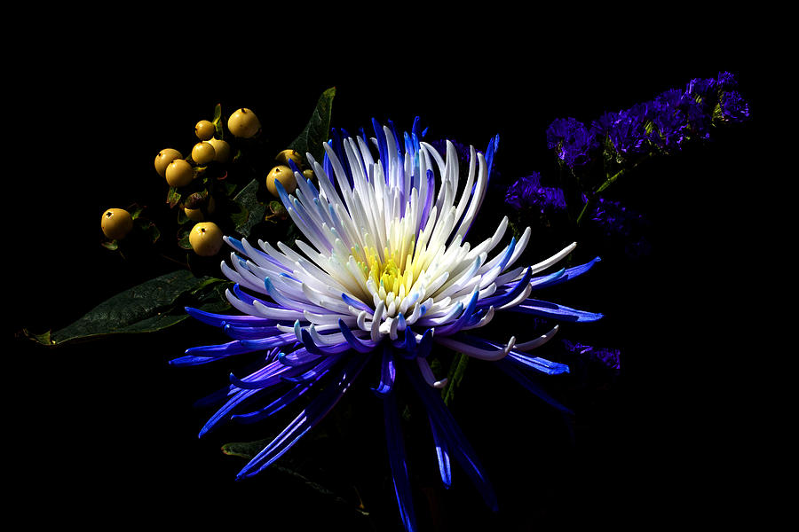 Flowers Still Life Photograph - Surround by Doug Norkum