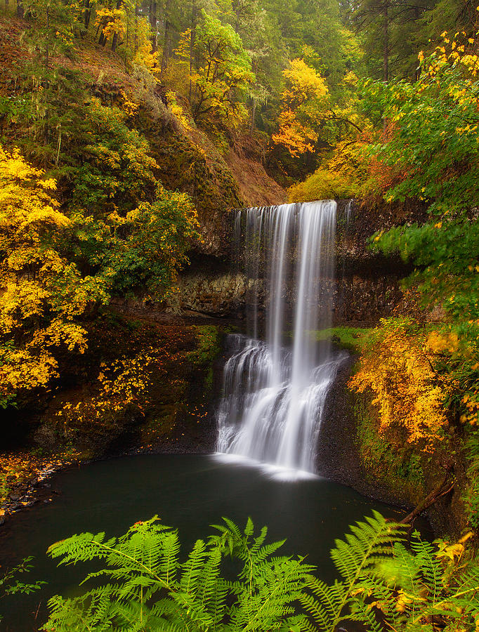 Landscape Photograph - Surrounded By Fall by Darren White