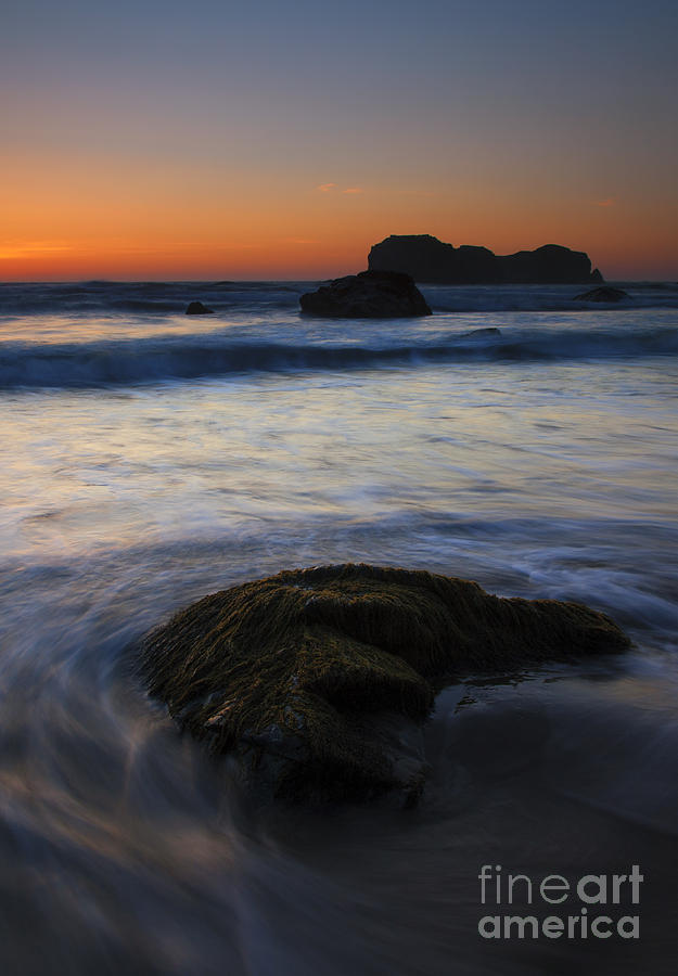 Beach Photograph - Surrounded by the Tide by Michael Dawson