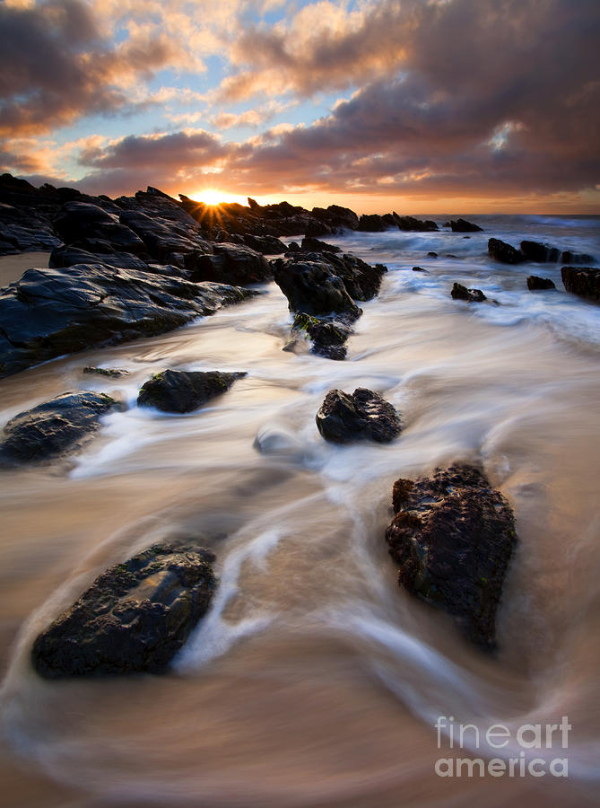 Beach Photograph - Surrounded by the Tides by Michael Dawson