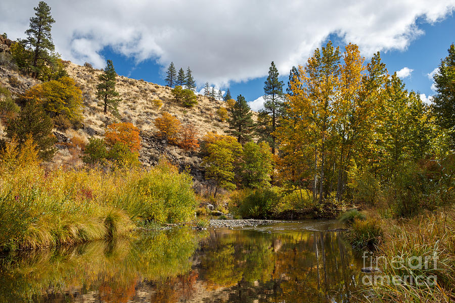 Fall Photograph - Susan River 10-25-12 by James Eddy