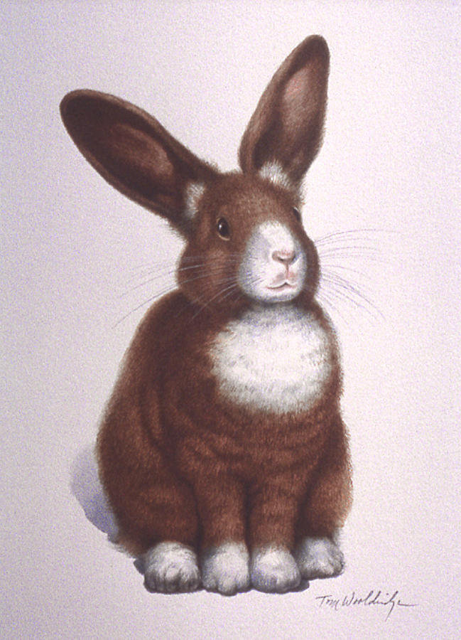 Susans Bunny Painting by Tom Wooldridge