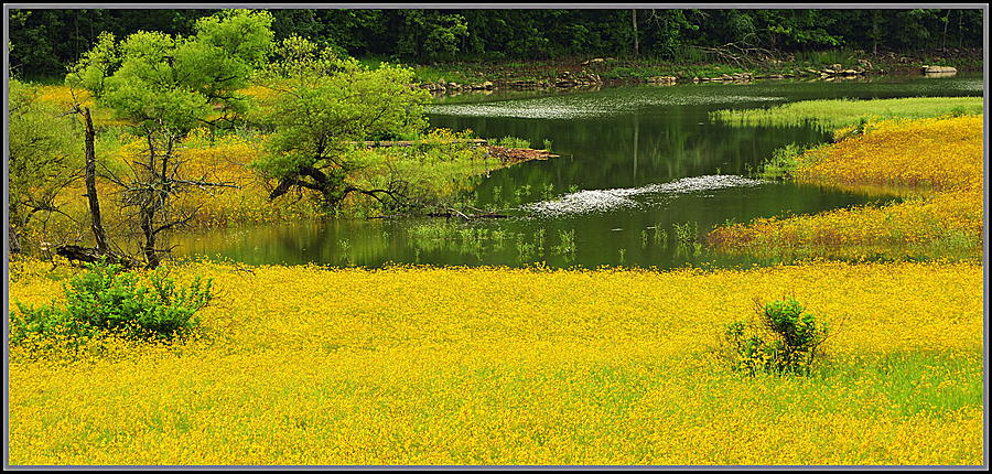 Susans Gold Pond Photograph by Kathy Barney