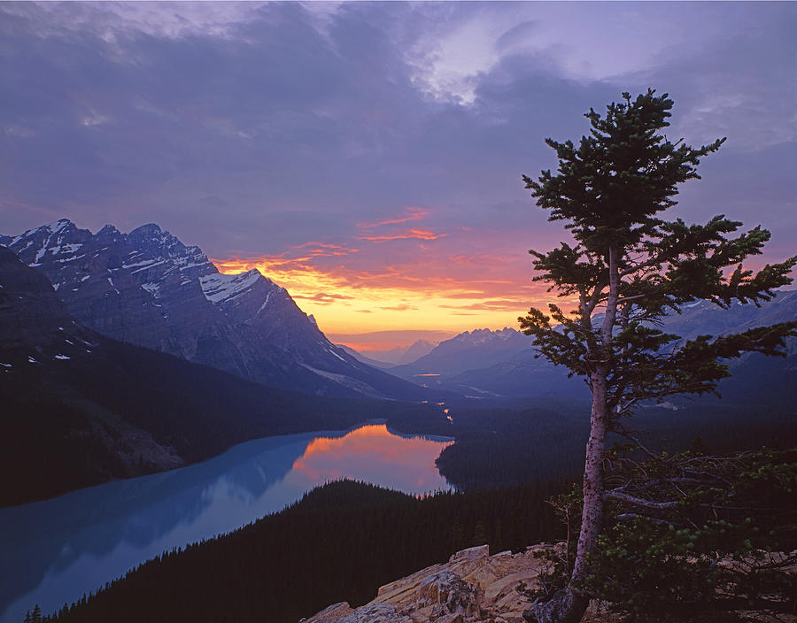 1M3607-Sunset over Peyto Lake Photograph by Ed  Cooper Photography