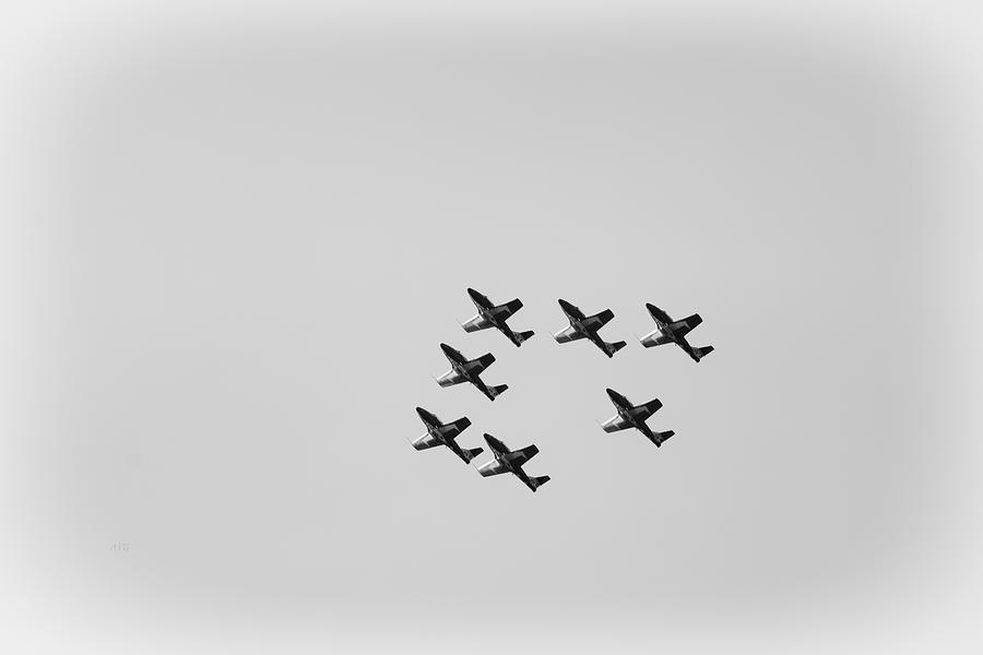 Suspended Snowbirds Black and White Photograph by Allan Van Gasbeck