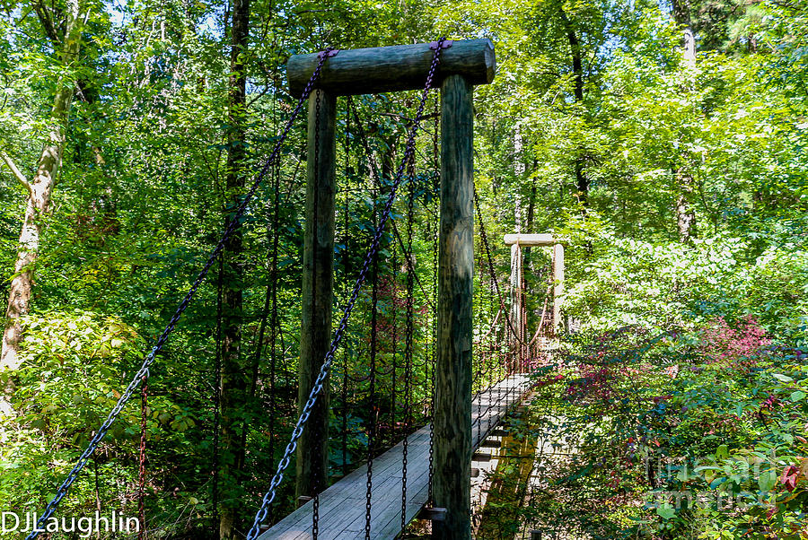 Suspension Bridge Crowley Ridge State Park Arkansas  Photograph by DJ Laughlin
