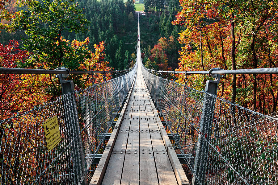 Suspension footbridge Geierlay (Hangeseilbrucke Geierlay), Germany Photograph by Rusm