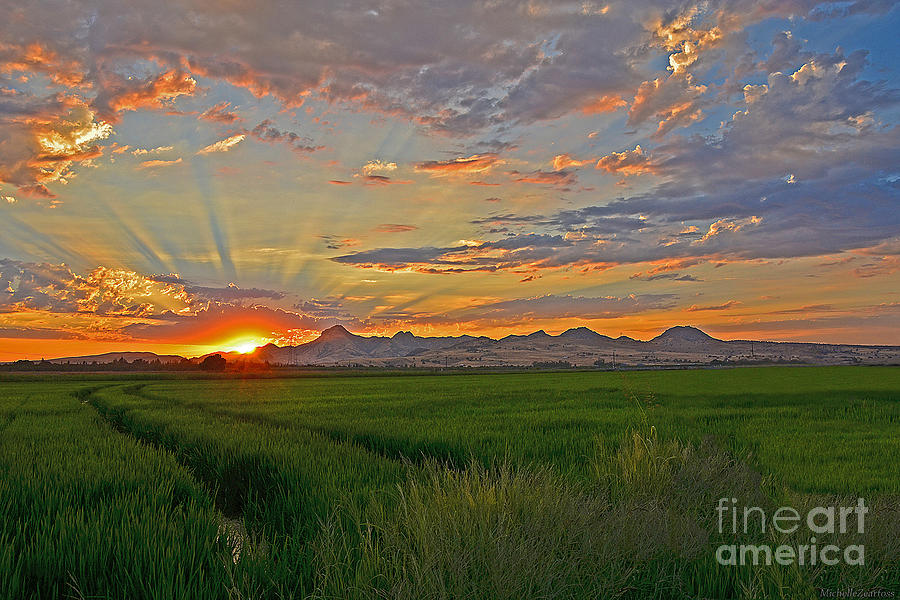 Sutter Buttes Photograph - Sutter Buttes July Sunset by Michelle Zearfoss
