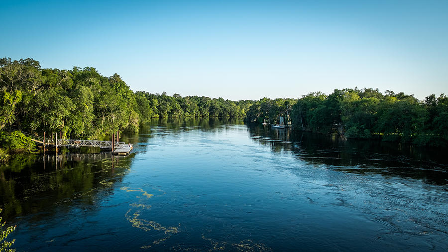 Florida Photograph - Suwannee River by Louis Ferreira