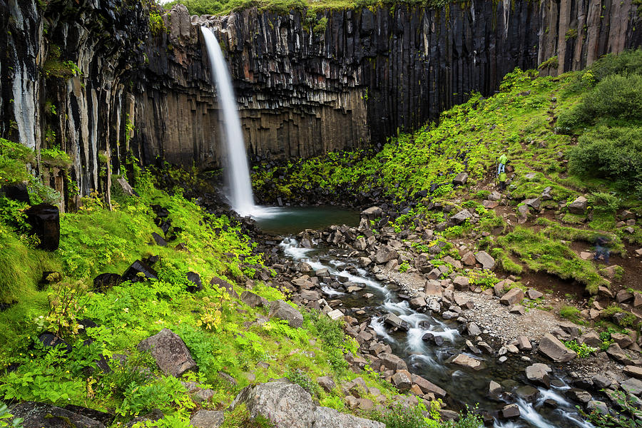 Svartifoss And Basalt Columns ,  Iceland Photograph by Gavriel Jecan