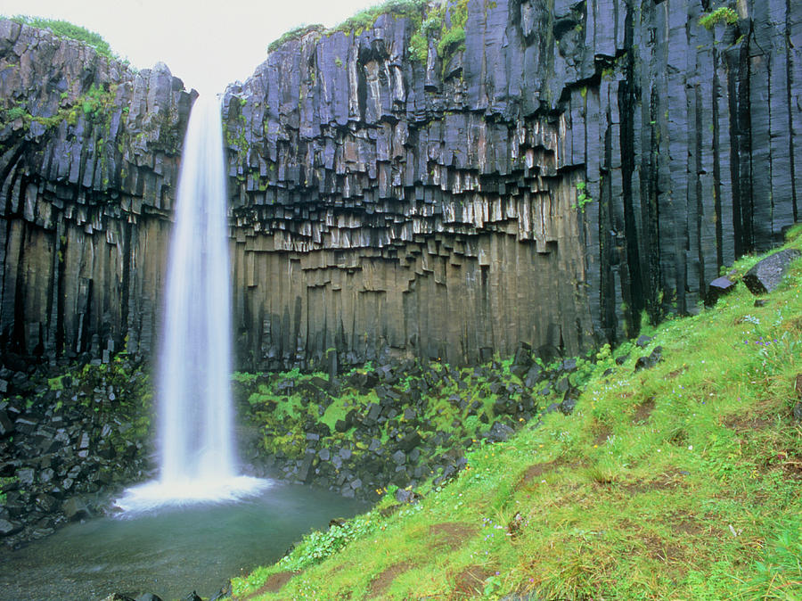 Svartifoss Waterfall In Iceland Photograph by Simon Fraser/science Photo Library