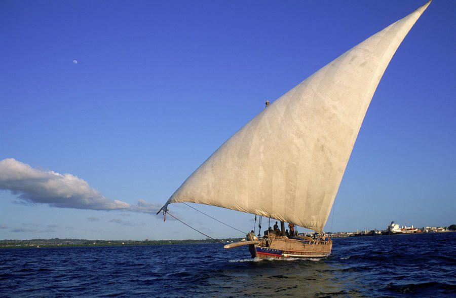 Swahili Lateen Sailed Dhow Sailing Photograph by Robert Caputo - Fine ...