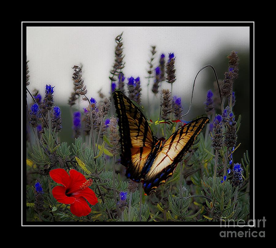 Swallowtail Among Blue Flowers Photograph
