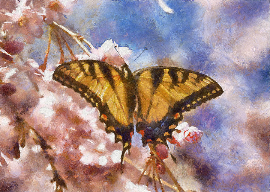 Swallowtail Butterfly on Cherry Blossom Digital Art by Charmaine Zoe