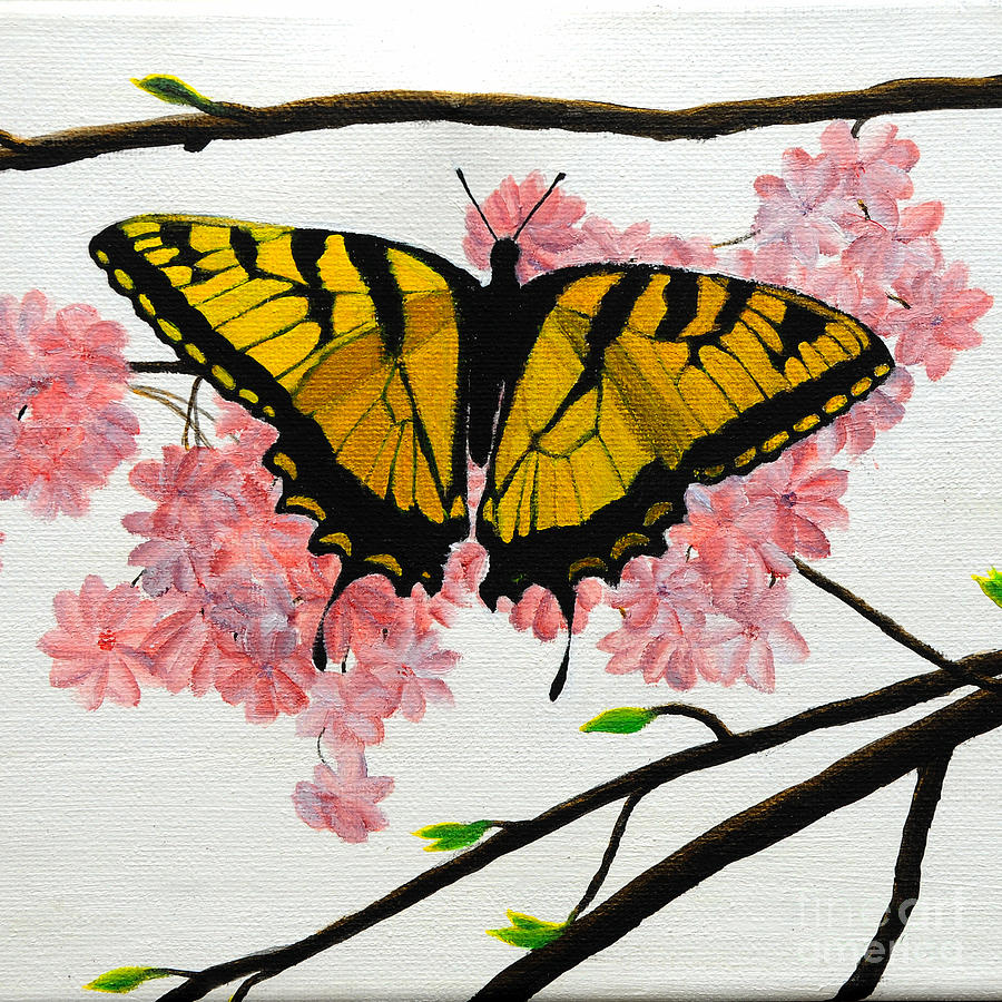 Swallowtail in Cherry Blossoms Painting by Jane Axman