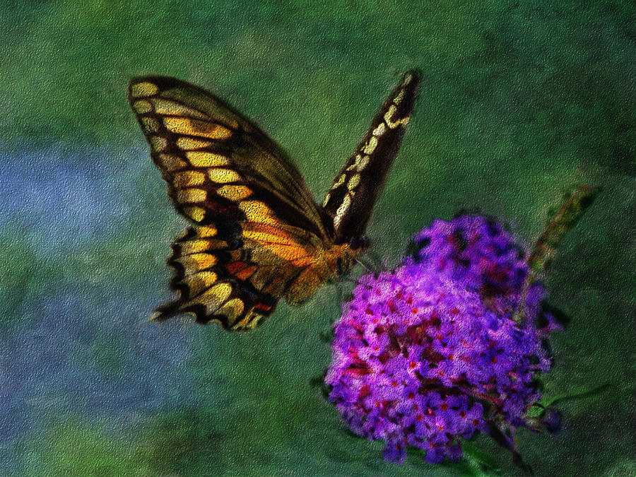 Butterfly Mixed Media - Swallowtail Landing by Renee Skiba