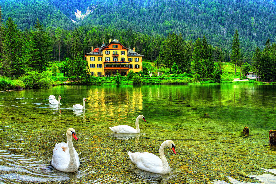 Dolomites Photograph - Swam Lake by Midori Chan