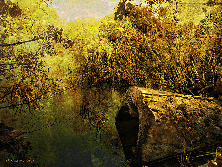 Swamp Fever Digital Art by J Larry Walker