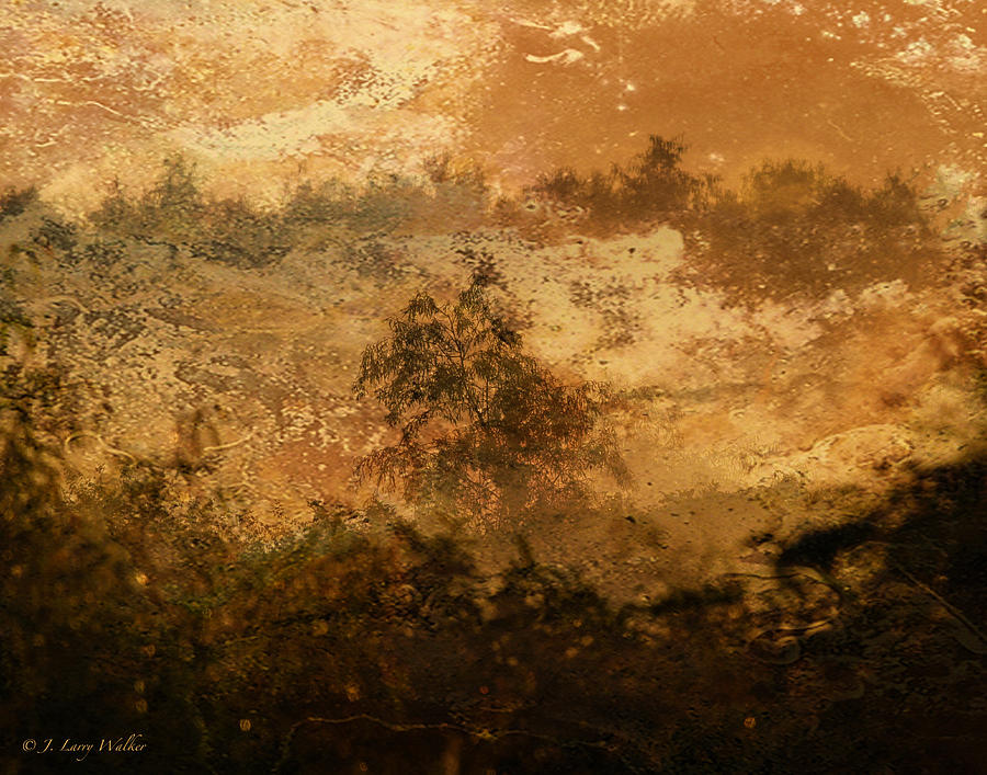 Swamp Foggy Sunrise Digital Art by J Larry Walker