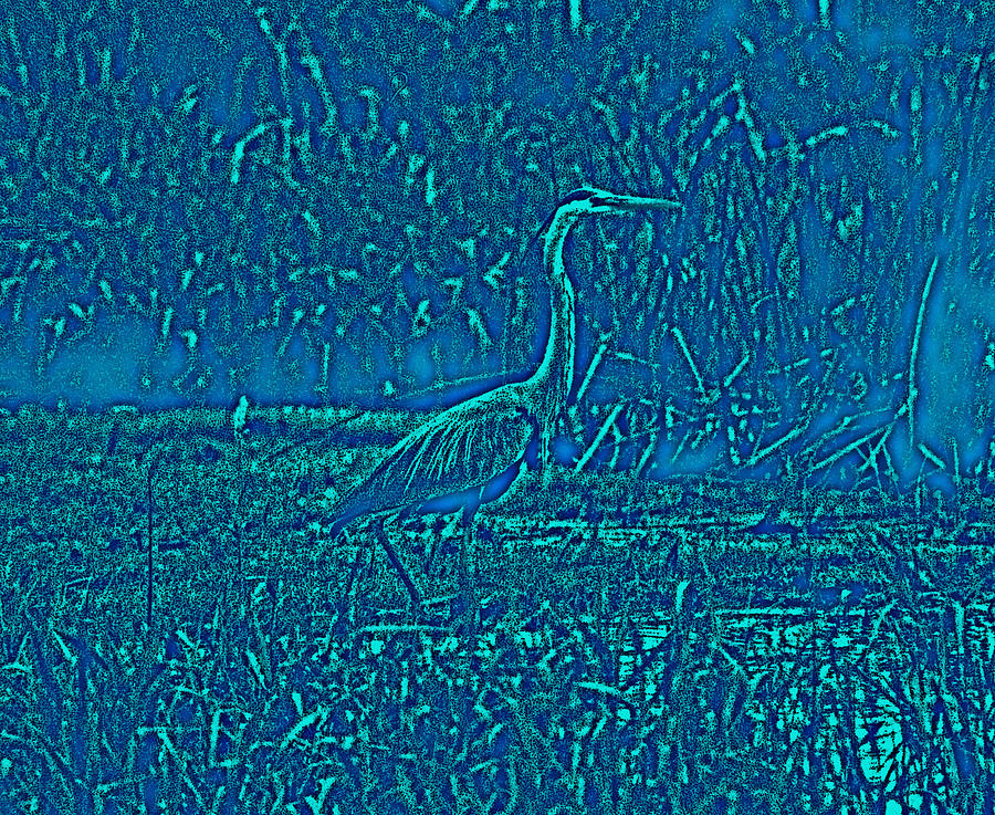 Heron in the Mist Digital Art by R Thomas Brass