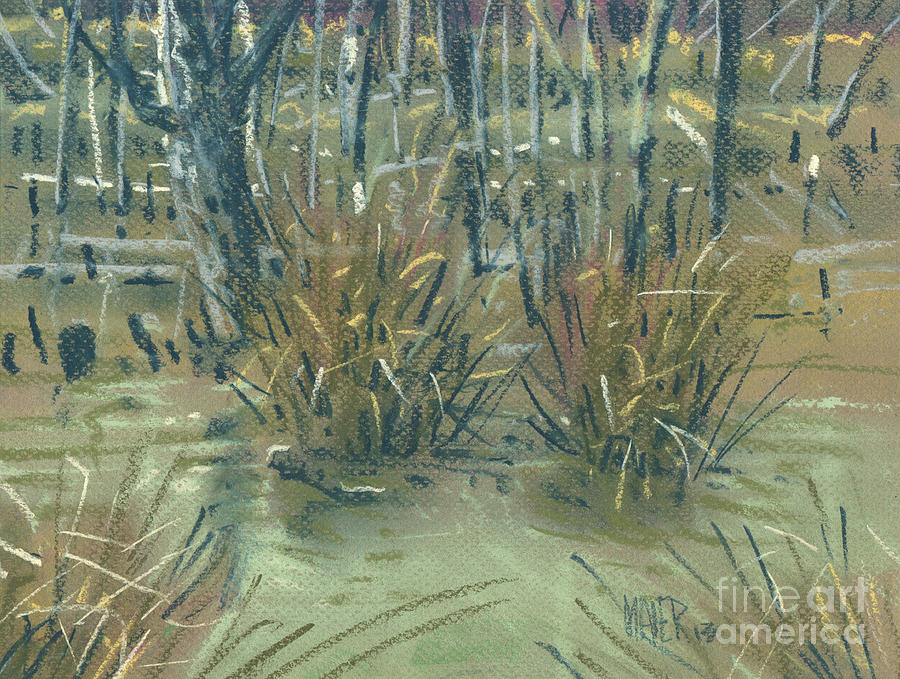 Swamp Grass Painting by Donald Maier