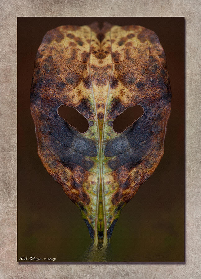 Swamp Mask 2 Digital Art by WB Johnston