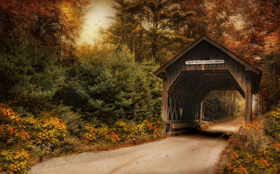 Swamp Meadow Bridge Photograph by Robin-Lee Vieira