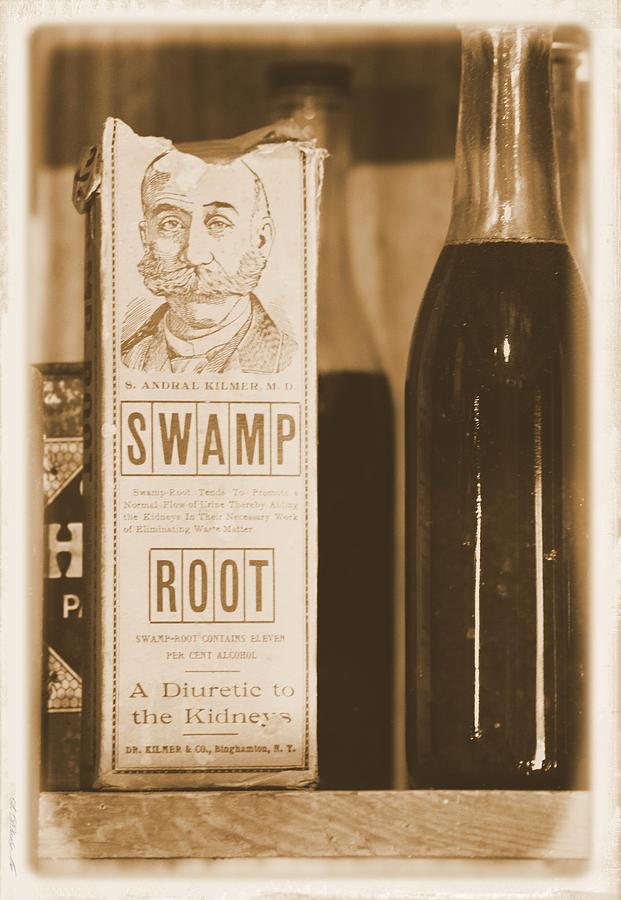 Swamp Root  Photograph by Sheri McLeroy