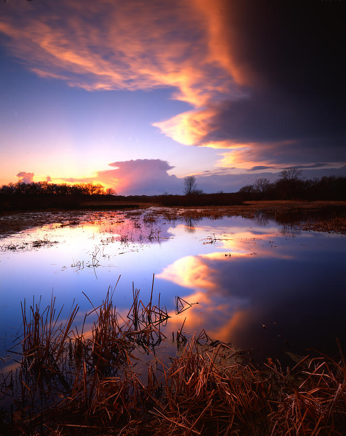 Swamp Sunset I Photograph by Ray Mathis