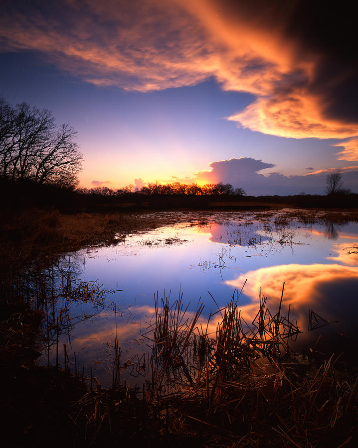Swamp Sunset II Photograph by Ray Mathis